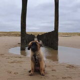 Foto van Britt, Maui & Fanu ~
