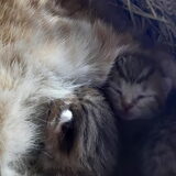Foto van Jeanine :)