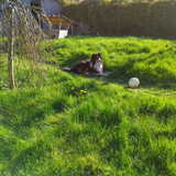 Foto van Kath