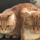 Foto van Suzanne en Luca