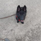 Foto van Tiamo  ^_^  Dyuna