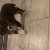 Foto van Vicky & Toby