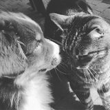 Foto van Vicky & Toby