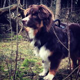 Foto van Vicky & Toby