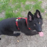 Foto van Tiamo  ^_^  Dyuna