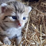 Foto van Jeanine :)