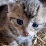 Foto van Jeanine :)