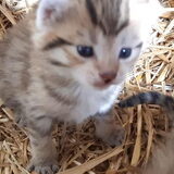Foto van Jeanine :)