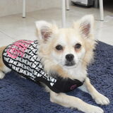 men lieve toby
