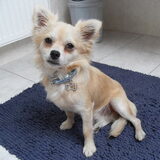 tobytje