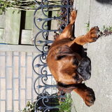 Foto van kimberley