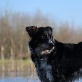 Foto van Angelique, Kleine Maybe en Tess <3