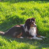 Foto van Kath
