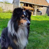 Foto van Kath