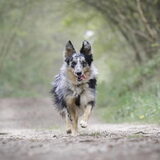 Foto van Naomi