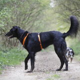 Foto van Naomi