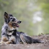 Foto van Naomi