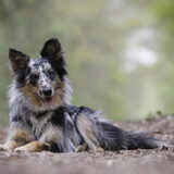 Foto van Naomi
