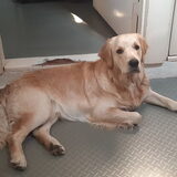 Foto van Max
