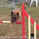 Gasko in actie