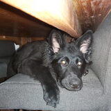 Foto van Tiamo  ^_^  Dyuna