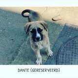 Foto van Suus Agterberg