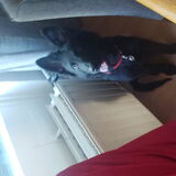 Foto van Tiamo  ^_^  Dyuna