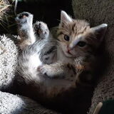 Foto van Jeanine :)