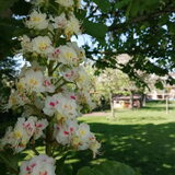 Foto van s@nt@