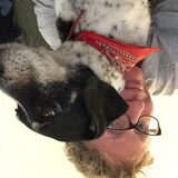 Foto van Ellen, vrouwtje van Noortje