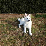 Foto van Cécé & Cosmo