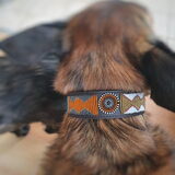 Foto van Dutchshepherdteam