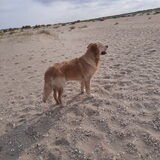 Foto van Max