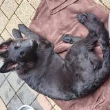 Foto van Tiamo  ^_^  Dyuna