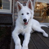 Foto van Cécé & Cosmo
