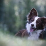 Foto van Naomi