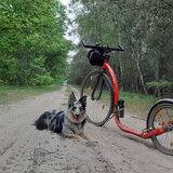 Foto van Naomi