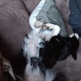 Foto van Angelique, Kleine Maybe en Tess <3