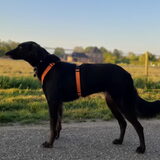 Foto van Naomi