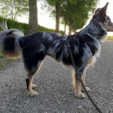 Foto van Naomi