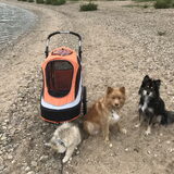 Foto van Marijke - Aila, Dinja & Evi