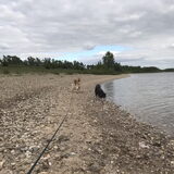 Foto van Marijke - Aila, Dinja & Evi