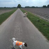Foto van Coby & Wanda en Mathilde