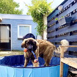 Foto van Britt, Maui & Fanu ~