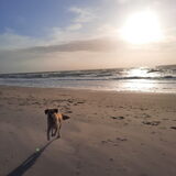 Foto van Max
