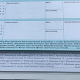 Foto van Baloe