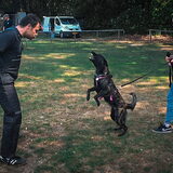 Foto van Dutchshepherdteam