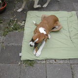 Foto van Angelique