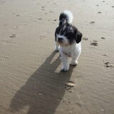 wat is het strand toch heerlijk !!!