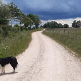 Foto van Jeanine :)